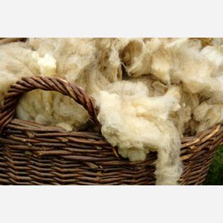 Natural Wool Fibre